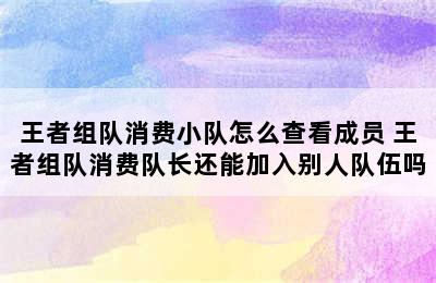 王者组队消费小队怎么查看成员 王者组队消费队长还能加入别人队伍吗